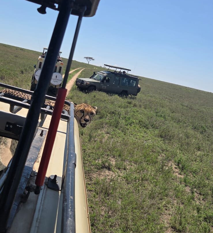 Udare Safari-阿鲁沙必去景点