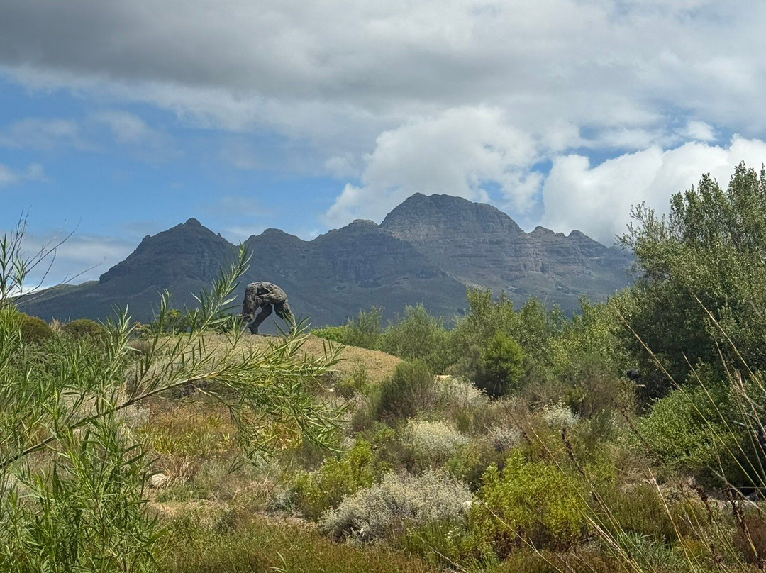 Dylan Lewis Sculpture  Garden-斯泰伦博斯必去景点