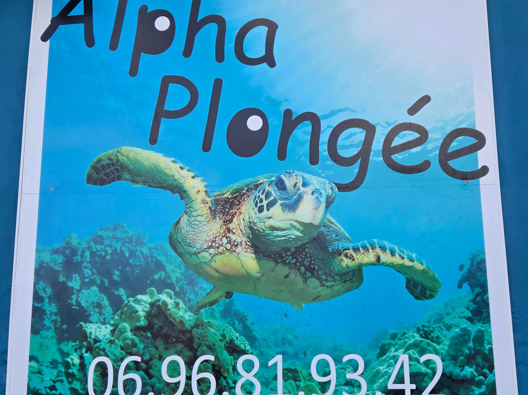 Alpha Plongée Martinique-Les Anses d'Arlet必去景点