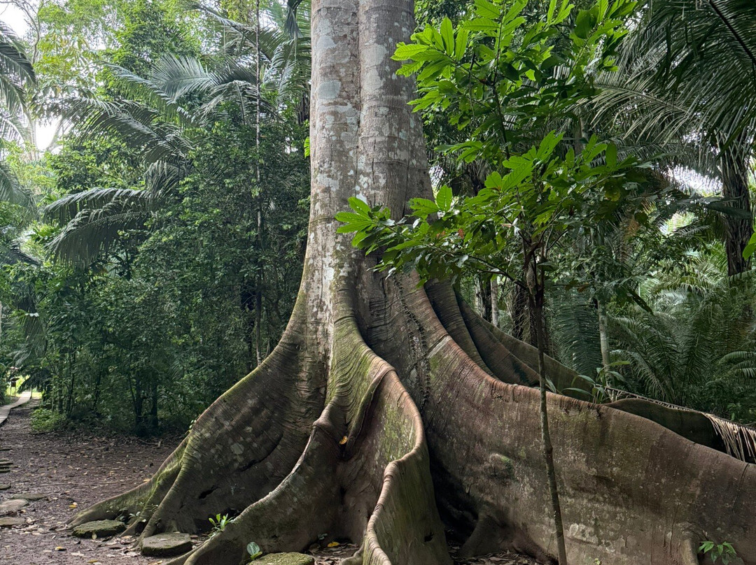 Vamos Expeditions-利马必去景点