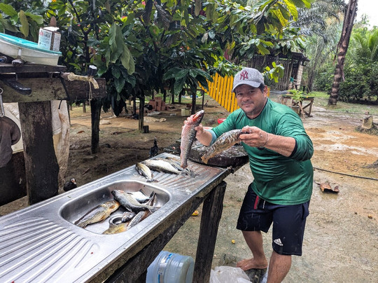 Amazon Green Island tour-Novo Airao必去景点