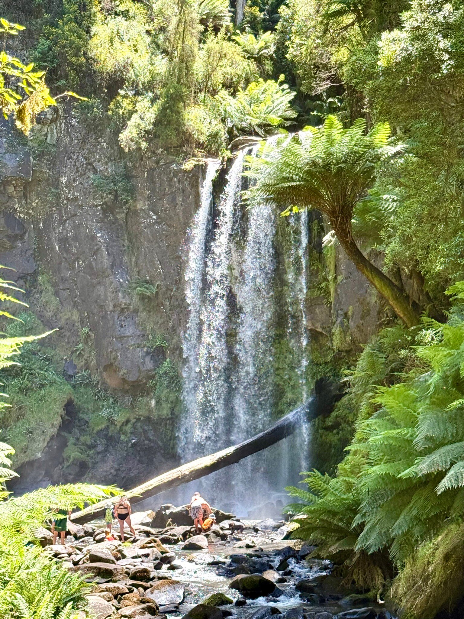 舒适国际大酒店-官方