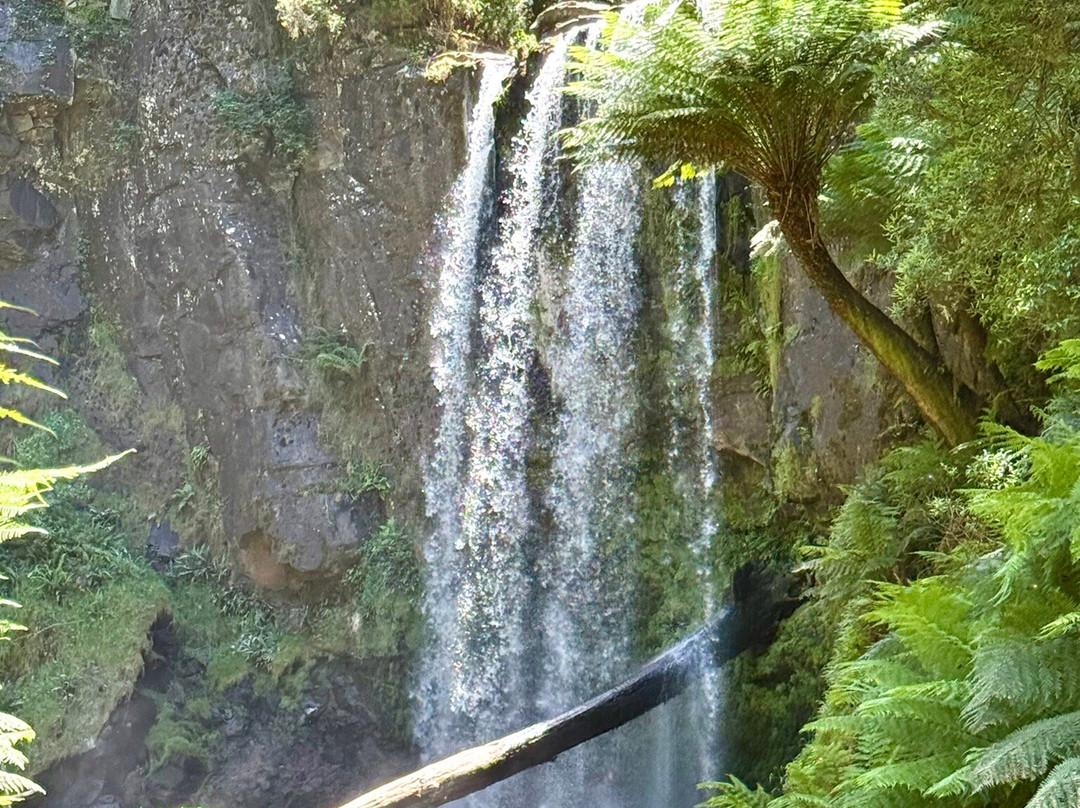 舒适国际大酒店主图