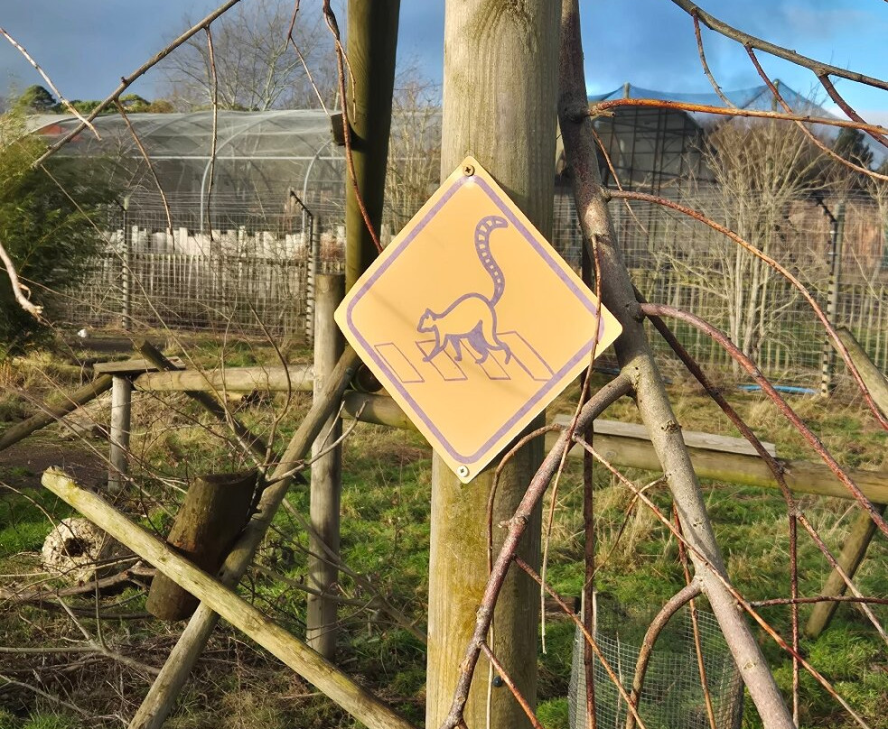 Fife Zoo-库珀必去景点