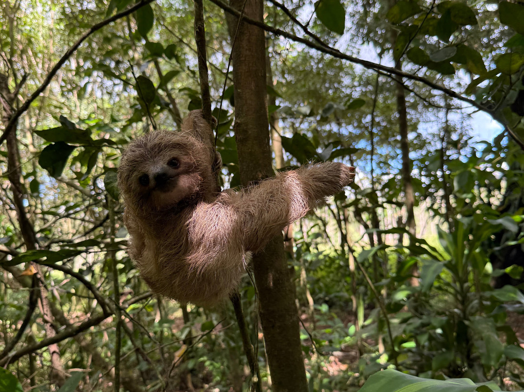 Erik Garcia Conchal Beach-孔查沙滩必去景点