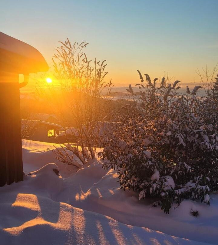 Ferienbungalow Sonnenwald Bayerischer Wald