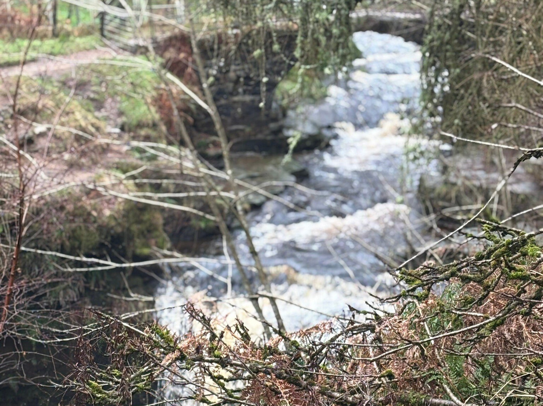 Hebden Bridge Canalside-Hebden Bridge必去景点