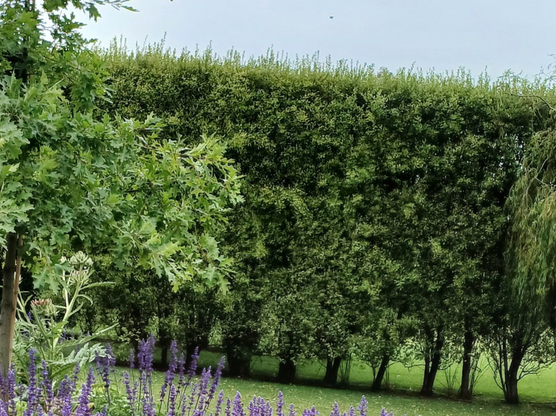 Crittenden Estate-Dromana必去景点