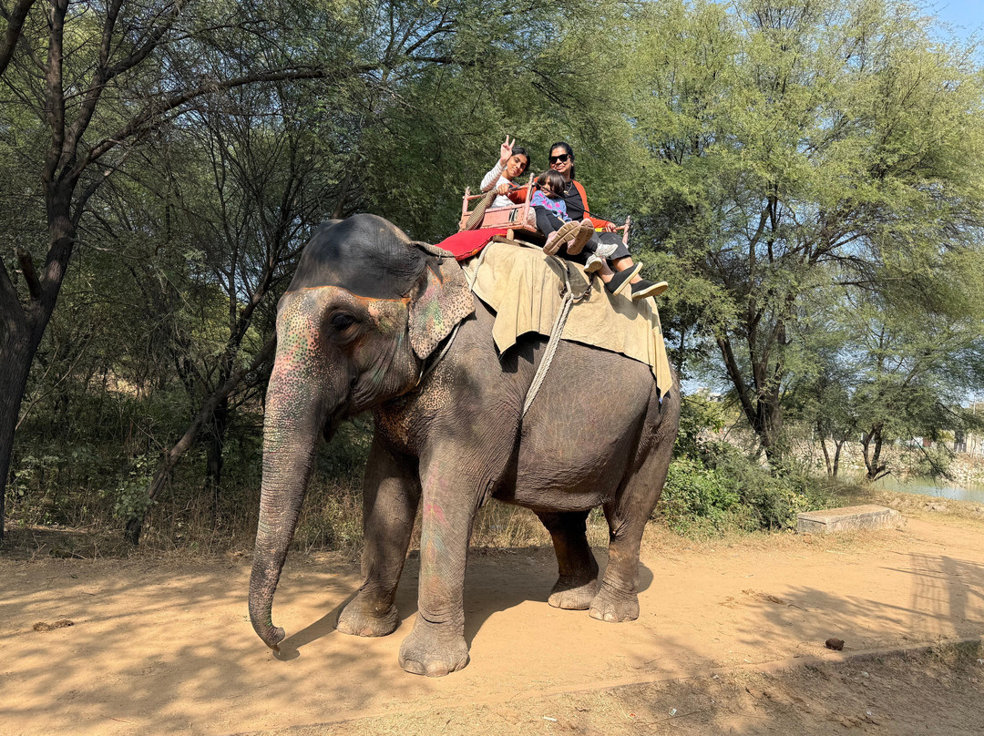 Elefun-斋蒲尔必去景点