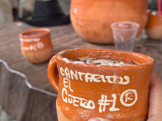 Huellas Mexicanas. Viajes y Experiencias Gastronomicas-墨西哥城必去景点