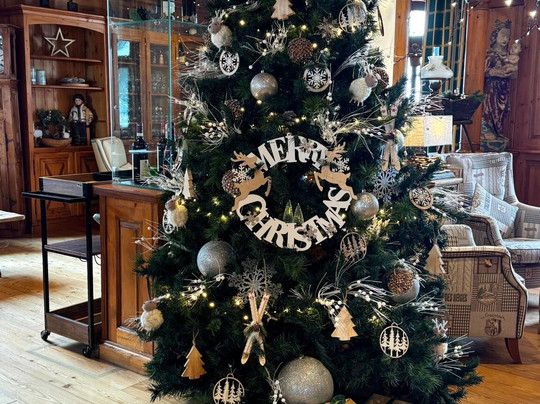 Relais Des Glaciers Hotel主图