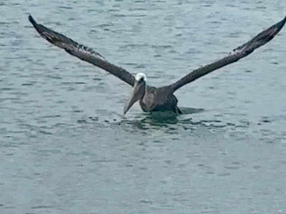 Surfside Beach-奥腊涅斯塔德必去景点