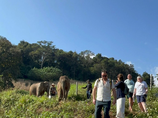 Elephant Sanctuary Care Park-清迈必去景点