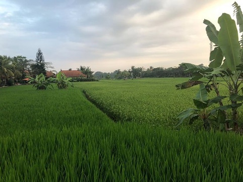 泰格尔萨里住宿酒店主图