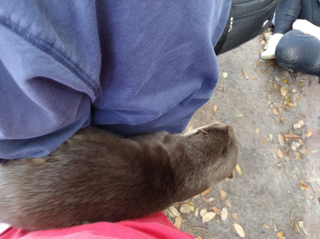 Chase Animal Rescue And Sanctuary-Webster必去景点