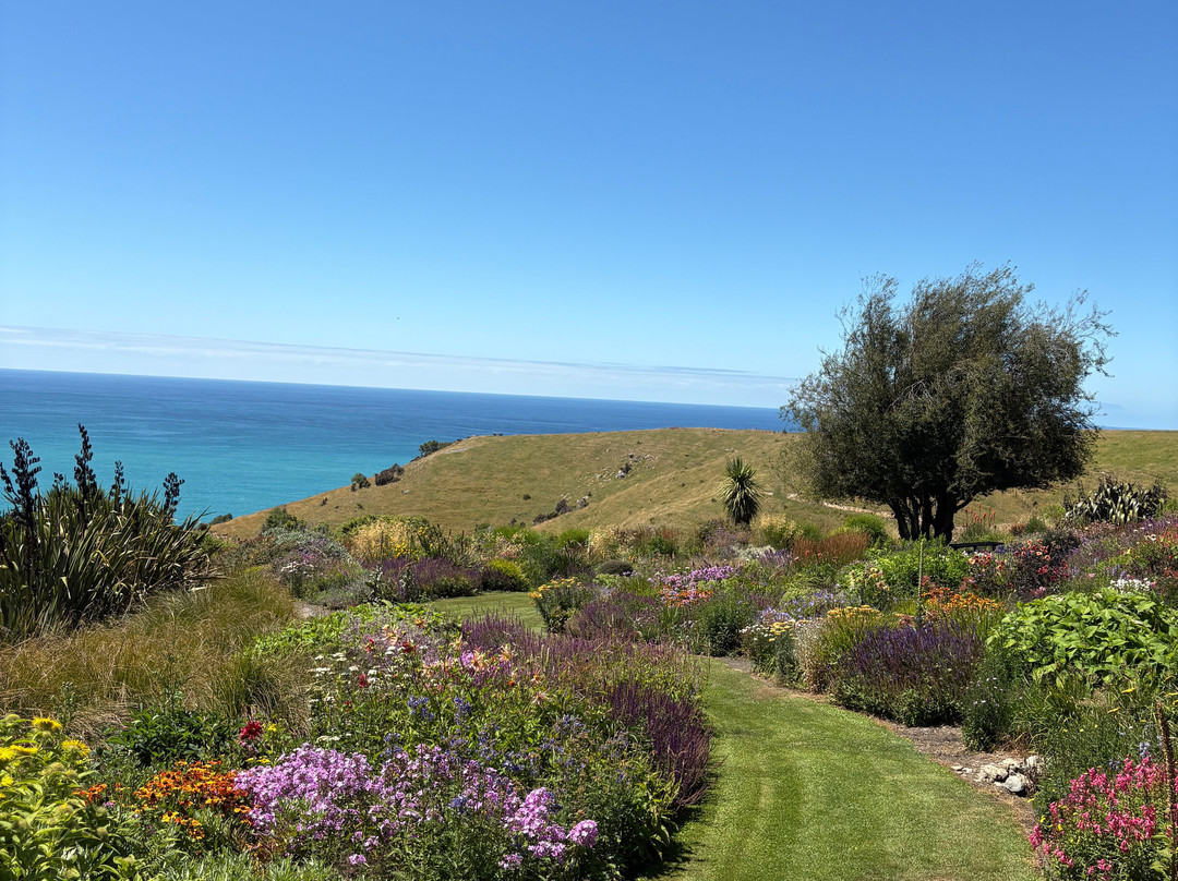 Fishermans Bay Garden-阿卡罗阿必去景点