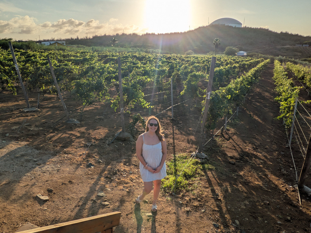 Alto Vista Winery-Noord必去景点