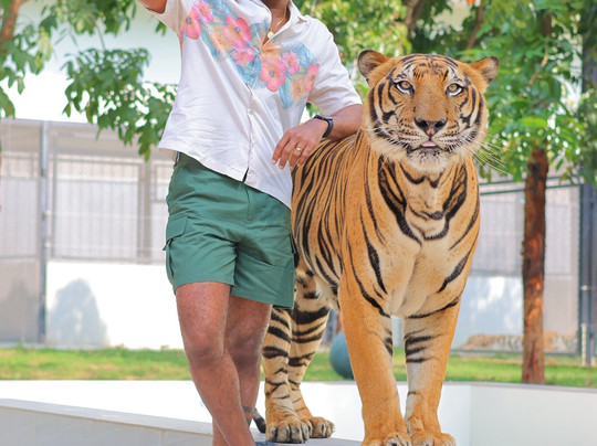 Tiger World Thailand-丹能沙都必去景点