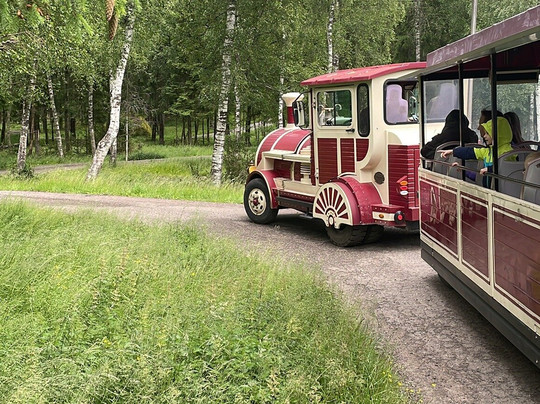 Smålandet Markaryds Älgsafari-Markaryd必去景点