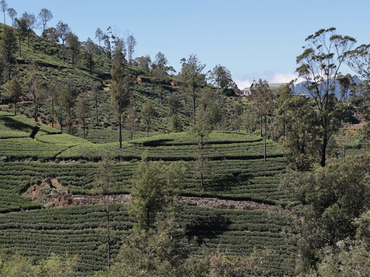 Sivas Sri Lanka Trekking-乌纳瓦图纳必去景点