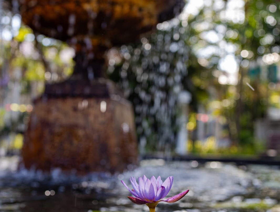 Kenwyn House Art Gallery-维多利亚必去景点