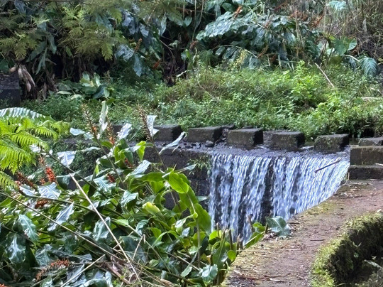 Madeira Free Spirit walks-沙尔必去景点