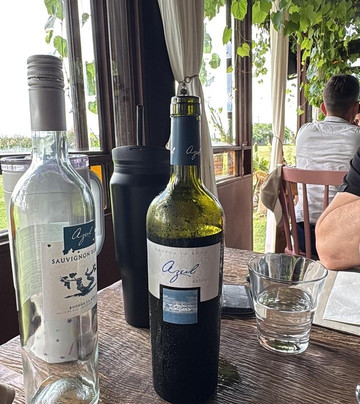 Bodega La Azul-门多萨必去景点