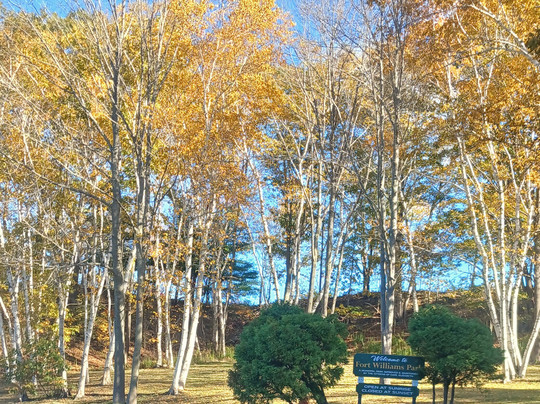 Fort Williams Park-开普伊丽莎白必去景点