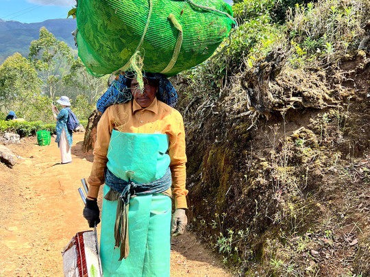 Munnar Hiking Trails-慕那尔必去景点