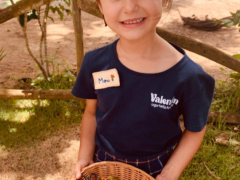 Valentim Iogurteria Artesanal-多明戈斯-马丁斯必去景点