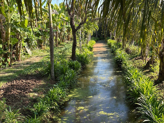 Bansuan Thanormpat Resort主图