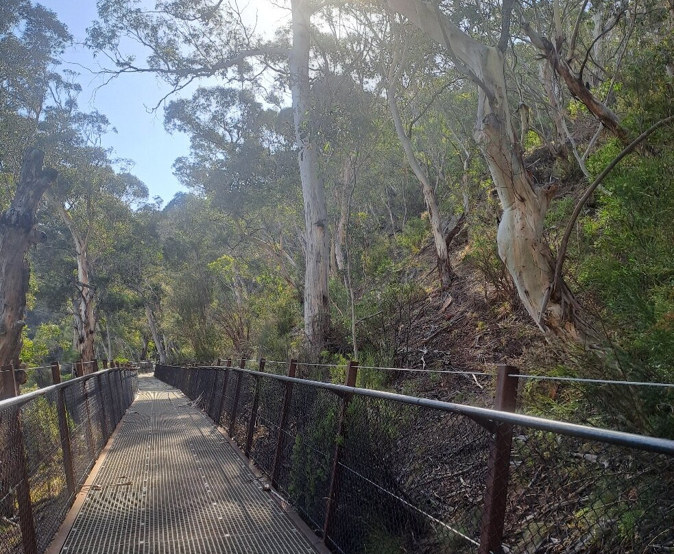 Thredbo River Track-Thredbo Village必去景点