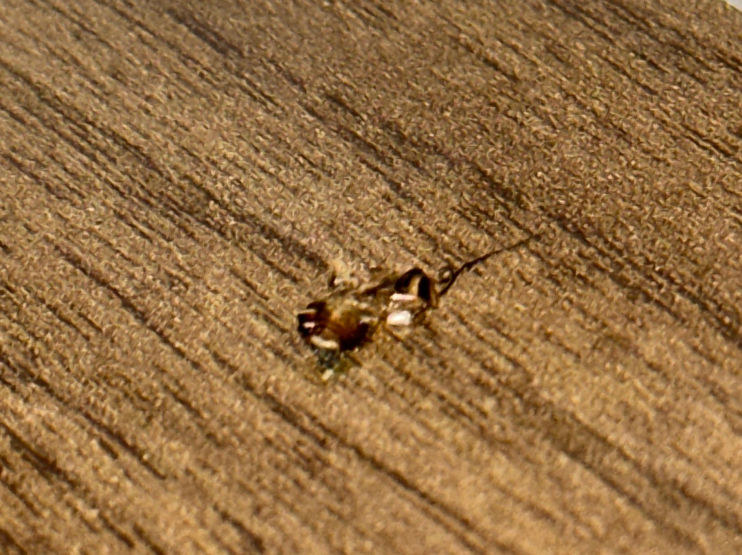 La Quinta Inn & Suites by Wyndham Seattle Federal Way主图