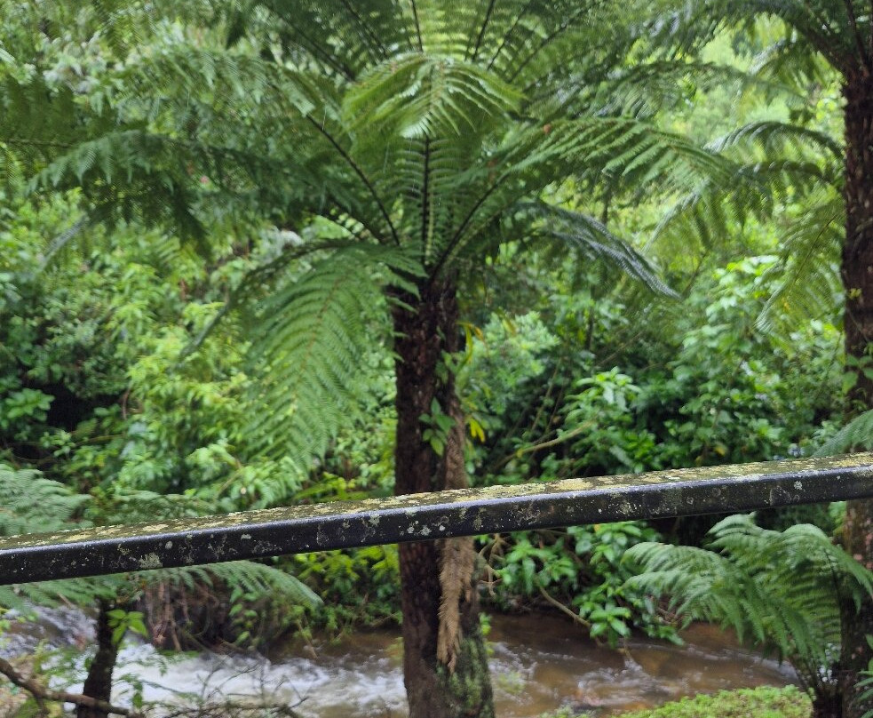 Parque da Cerveja Campos do Jordão-坎普斯－杜若尔当必去景点