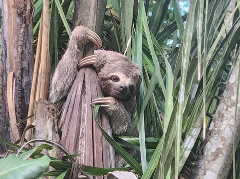 Valencia Travel Cusco-库斯科必去景点