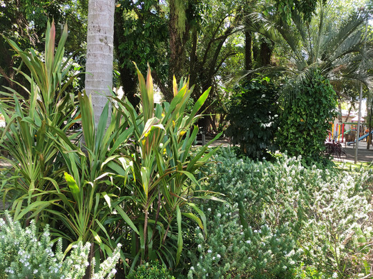 Praca Dona Luisa-Igrejinha必去景点