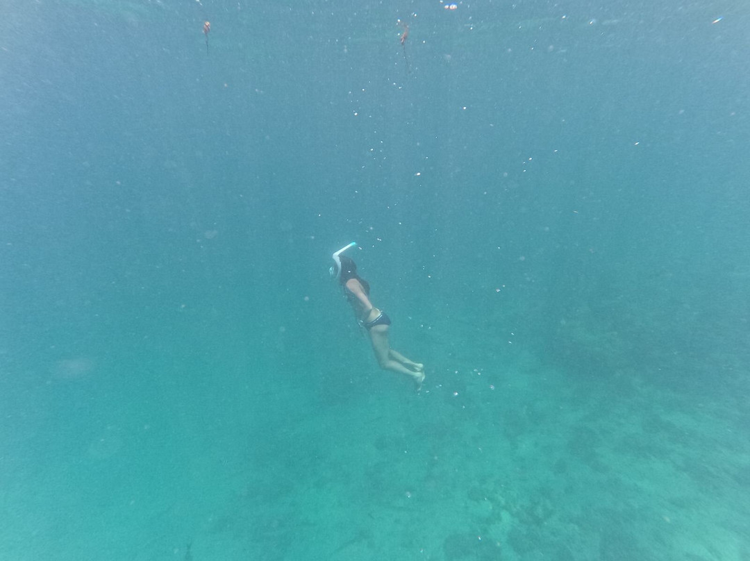 Sud Tropical-蓝湾必去景点