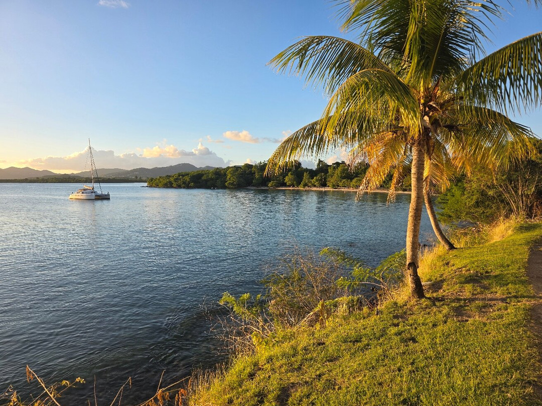 Martinicantravel - Viaggi In Martinica-Chiasso必去景点