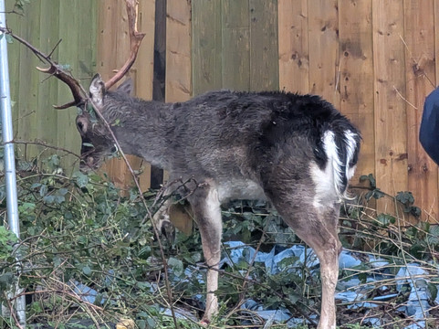 Travelodge Plymouth Roborough主图