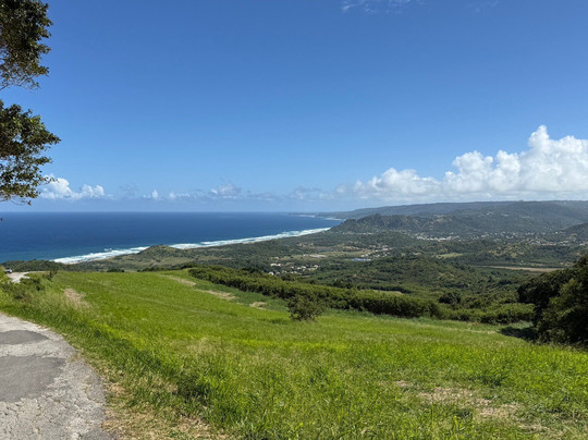 Ted's Tours-Hastings必去景点