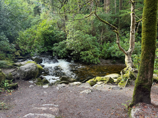 Torc Waterfall-基拉尼必去景点