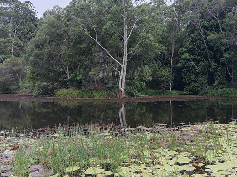 Noosa Valley Golf Club-努沙必去景点