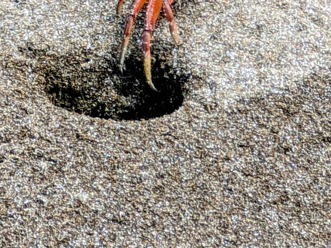 Aventuras La Plata-Puerto Lopez必去景点