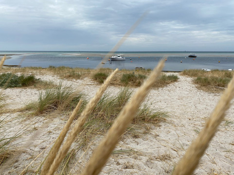 Rosebud Beach-Rosebud必去景点