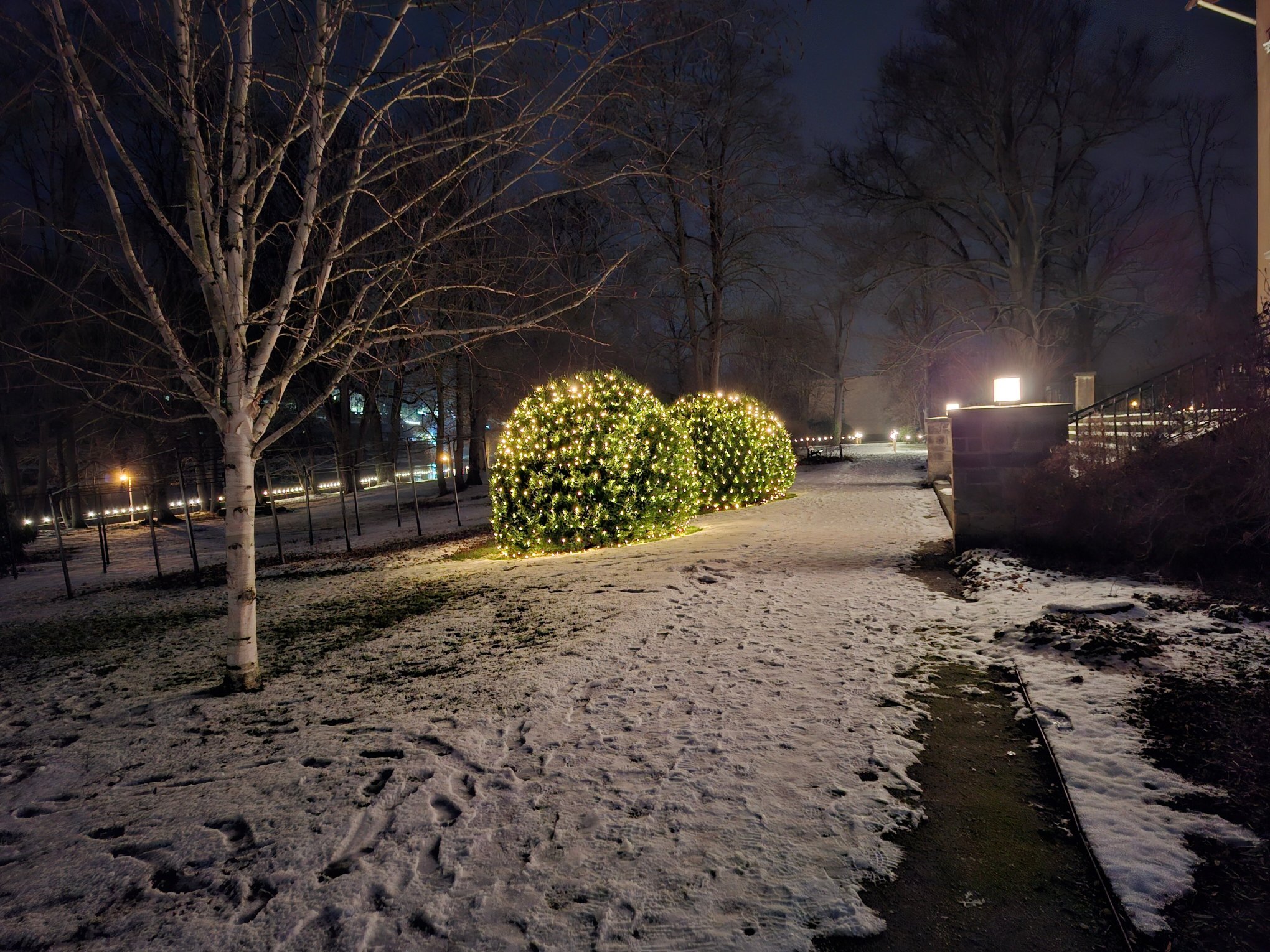 Parkhotel Bad Schandau-官方