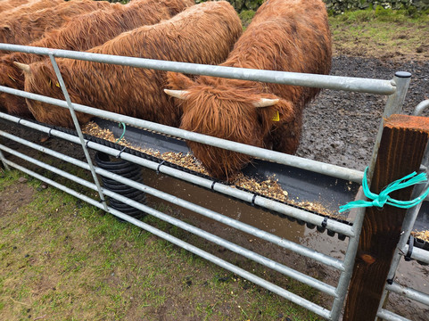 Kitchen Coos & Ewes-New Luce必去景点