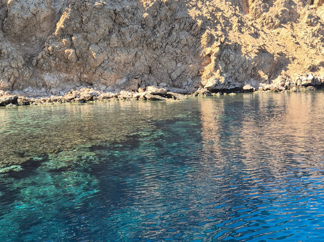 Red Sea Horse Diving-Hurghada 1必去景点