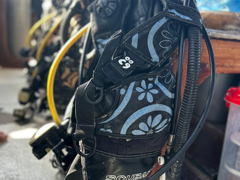 The Zanzibar Dive Centre, One Ocean-基万嘎必去景点