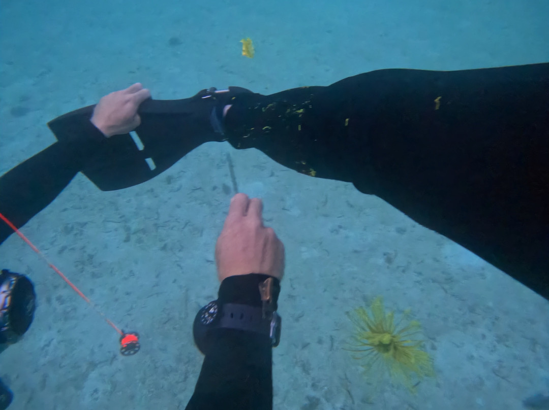 Blue Revival Diving-邦劳岛必去景点