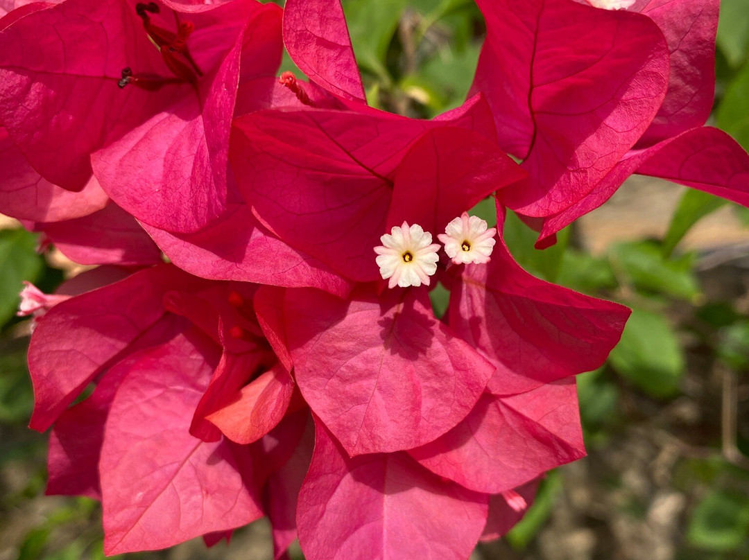 金欧雅旅馆主图